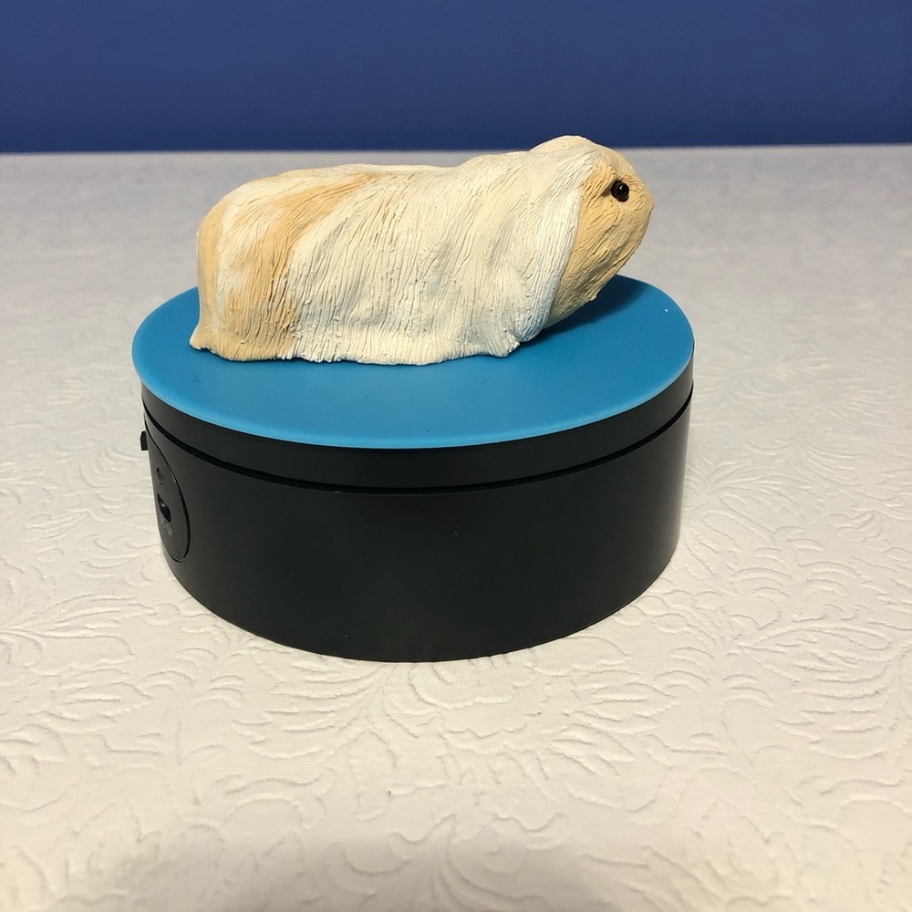 Cute 4 inch long polymer cream and white guinea pig.